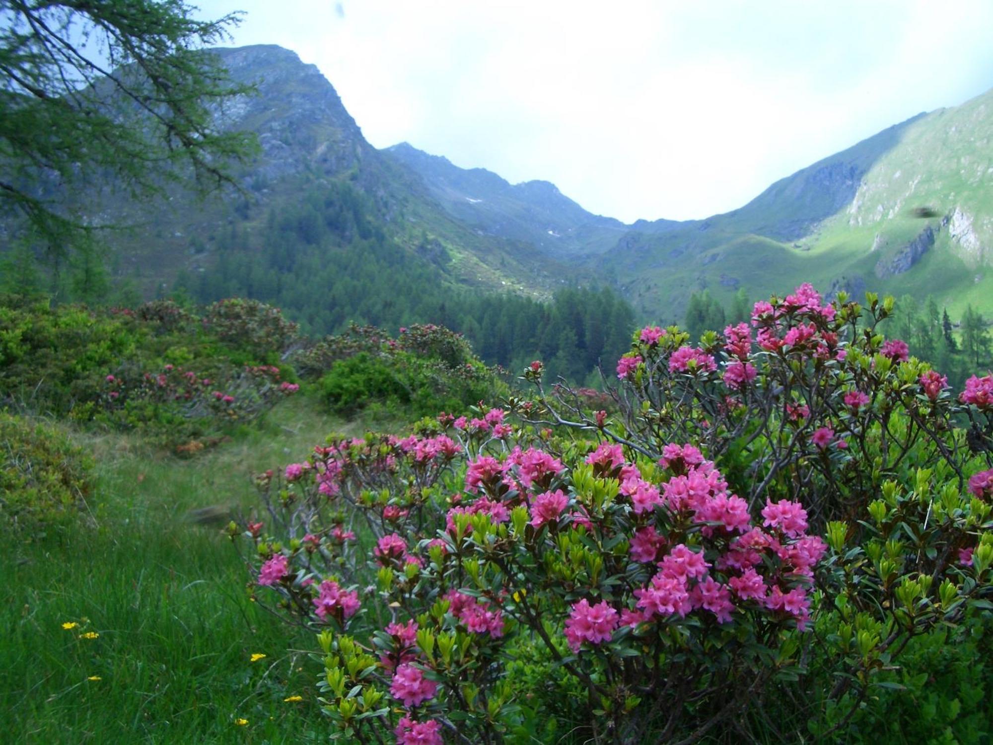 Appartementhaus Flattach Goritschnig Luaran gambar